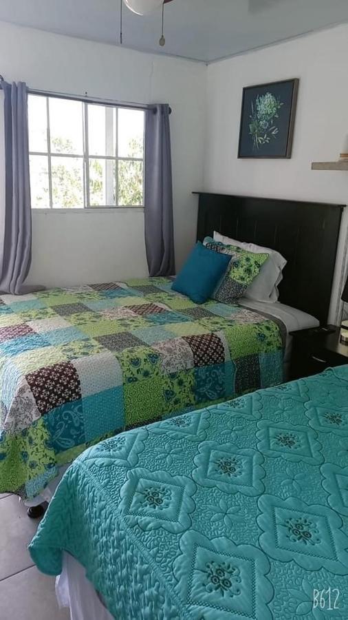 Hostal Jasmin Berlin Eksteriør billede